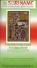 Wegenkaart - Landkaart Suriname & Paramaribo | Hebri