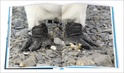 Fotoboek Cold - Sailing to Antarctica | Thijs Heslenveld