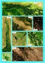 Landkaart Okavango Delta - Tourist Map of the Okavango Delta and Linyanti | Landkaart Botswana - Veronica Roodt