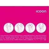 Taalgids woordenboek ICOON aanwijs-taalgids | Amberpress