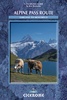 The Alpine Pass Route / wandelgids Zwitserland
