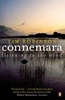 Connemara, listening to the wind