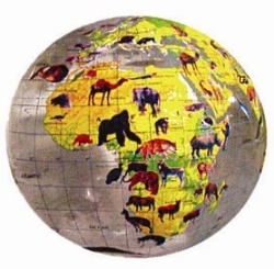 Opblaasglobe - wereldbol Aarde met dieren - 40 cm, doorzichtigmet dieren