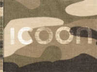 Taalgids ICOON Camouflage Global Picuture Dictionary | Amberpress