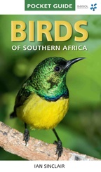 Natuurgids Vogelgids Pocket Guide to Southern African Birds | Sasol - Ian Sinclair