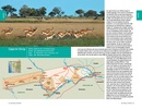 Reisgids - Natuurgids Safarigids Zuidelijk Afrika - Zuid-Afrika, Botswana en Namibië | Afrika Safari
