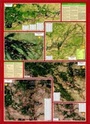 Landkaart Moremi - Tourist Map of Moremi Game Reserve Botswana | Shell Veronica Roodt