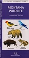 Natuurgids Montana Wildlife | Waterford press