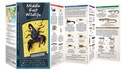 Natuurgids Middle East Wildlife: An Introduction to Familiar & Dangerous Species in Iraq, Iran, Afghanistan & the Middle East | Waterford