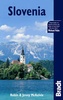 Reisgids Slovenië - Slovenia | Bradt guide
