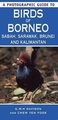 Vogelgids Birds of Borneo Sabah, Sarawak, Brunei and Kalimantan | Struik