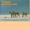 Natuurgids - Etosha National Park - Etosha Nationaal Park - Guidebook to the waterholes and animals | Venture Publications