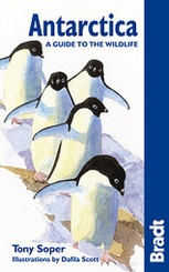 Natuur Reisgids Antarctica: A Guide to the Wildlife | Bradt Nature guides