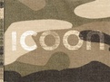 Taalgids ICOON Camouflage Global Picuture Dictionary | Amberpress