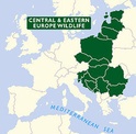 Natuur Reisgids Central & Eastern European Wildlife -Centraal en Oost Europa | Bradt Nature Guide