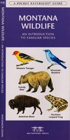 Natuurgids Montana Wildlife | Waterford press