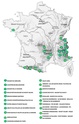 Wandelkaart - Fietskaart Cézallier, Monts du Cantal | IGN 75000