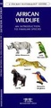 Natuurgids African Wildlife - an introduction to familiar species | Waterford Press