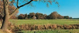 Wandelgids De loop van de Reest - wandeling in Drenthe | Drents Landschap