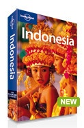 Reisgids Lonely Planet Indonesia - Indonesië | Lonely Planet editie 2010