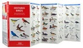 Vogelgids Ontario Birds | Waterford