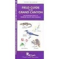Field Guide to the Grand Canyon  / kaart met veelkomende dieren en planten | Waterford Press