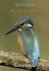 Wandelgids Veluwe: Veluwse Vogelroutes | BDU uitgevers