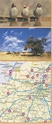 Sasol Birding Map of Southern Africa / landkaart vogels Zuidelijk Afrika - Botswana - Namibie - Zuid Afrika