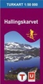 Wandelkaart 2517 Hallingskarvet - Noorwegen | Turkart Ugland