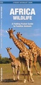 Natuurgids Africa Wildlife an introduction to familiar species | Waterford Press