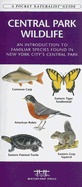 Natuurgids Central Park Wildlife -  New York | Waterford Press