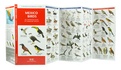 Natuurgids Mexico Birds | Waterford Press