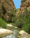 Reisgids Jordan handbook (Jordanië) | Footprint