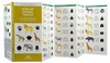 Natuurgids African Animal Tracks | Waterford Press