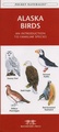 Natuurgids Alaska Birds | Waterford Press