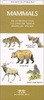 Mammals : An Introduction to Familiar North American Species / natuurgids - kaart USA