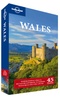 Reisgids Lonely Planet Wales | Lonely Planet
