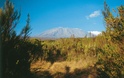 Wandelgids Kilimanjaro a complete trekkers's guide | Cicerone