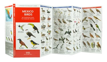 Natuurgids Mexico Birds | Waterford Press
