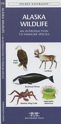 Natuurgids Alaska Wildlife - An introduction to familiar species | Waterford Press