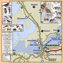 Etosha National Park - kaart met faunabeschrijvingen / Namibie