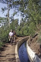 Wandelgids Walking in Madeira and Porto Santo | Cicerone