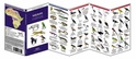 Natuurgids - Vogelgids  Australian Birds ( Australië )  | Waterford Press
