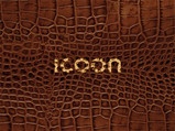 Taalgids ICOON Croco Global Picuture Dictionary | Amberpress