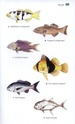 Thailand, A Traveller's Wildlife Guide - Natuurgids Thailand