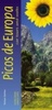 Wandelgids Picos de Europa | Sunflower