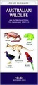 Natuurgids Australian Wildlife (Australië) | Waterford Press