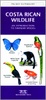 Natuurgids Costa Rican Wildlife | Waterford Press