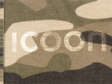 Taalgids ICOON Camouflage Global Picuture Dictionary | Amberpress