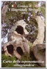 Wandelkaart Sardinië A08 - Villagrandese | Abies Map